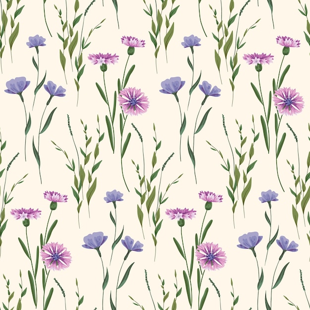 Naadloze patroon met wilde bloemen op een wit veld Romantische bloemenprint rustieke botanische achtergrond met hand getrokken planten Korenbloem andere wilde bloemen bladeren kruiden Vector