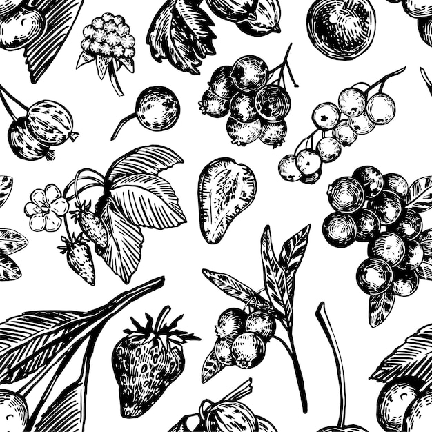 Naadloze patroon van verschillende bessen zomer fruit berry ornament Hand getrokken vectorillustratie Retro gravure stijl ontwerp voor decor wallpaper background