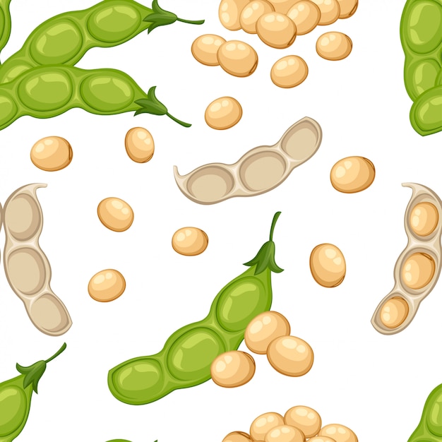 Vector naadloze patroon van verse hele sojaboon groente uit de tuin natuurvoeding open boon pod illustratie op witte achtergrond website-pagina en mobiele app