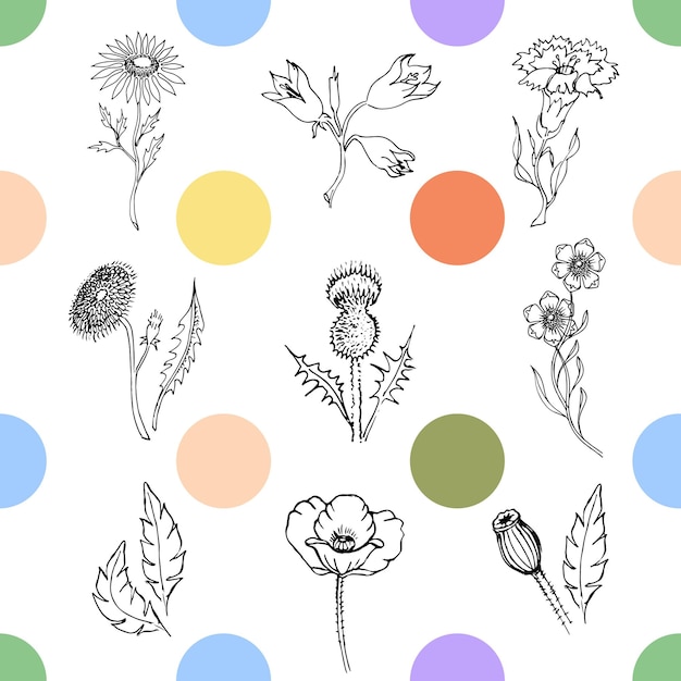 Naadloze patroon van wilde wilde bloemen geïsoleerd op wit met kleurrijke abstracte vormen botanische hand getrokken doodle vectorillustratie