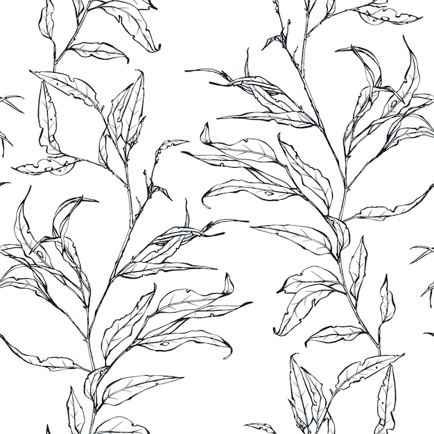 Naadloze patroon zwart-wit. Floral sieraad met zilveren dollar eucalyptus takken.