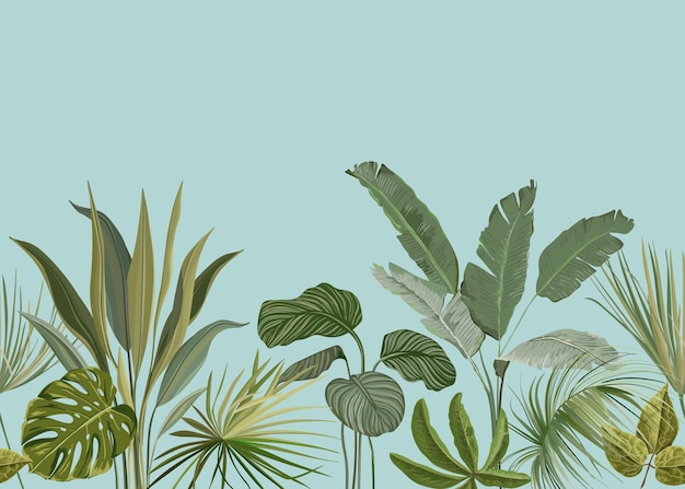 Naadloze tropische achtergrond, bloemenbehang print met exotische philodendron monstera jungle bladeren, regenwoud planten, natuur ornament voor textiel of inpakpapier, botanische vectorillustratie