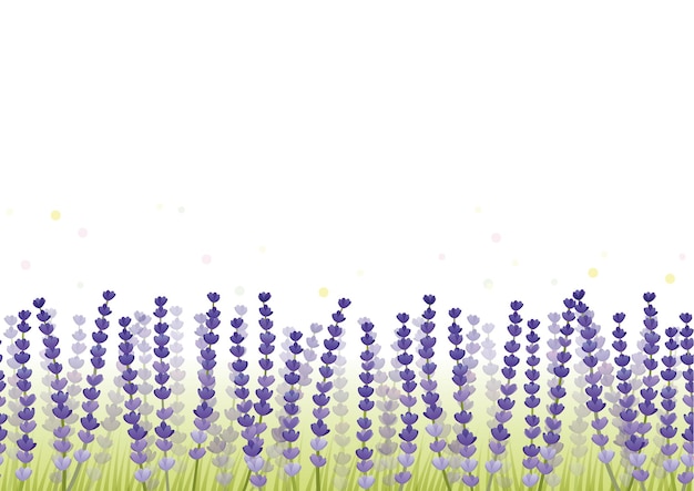 Naadloze Vector Floral Achtergrond Geïsoleerd Op Een Witte Achtergrond Horizontaal Herhaalbaar