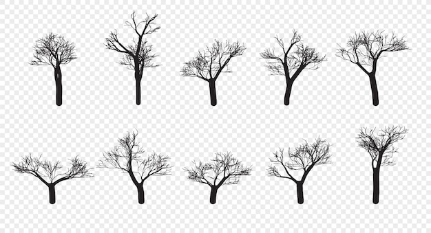 Naakte Bomen Silhouetten Set Hand Getekende Geïsoleerde Herfst Lente Herfst Vector