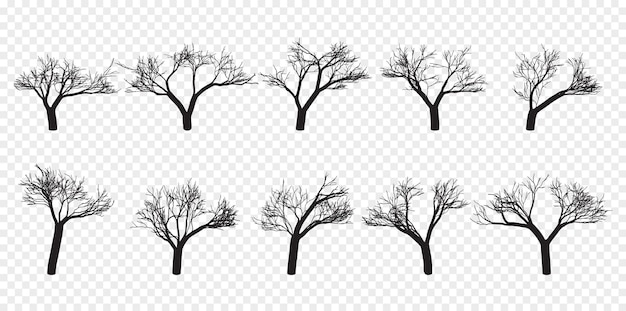 Vector naakte bomen silhouetten set hand getekende geïsoleerde herfst lente herfst vector