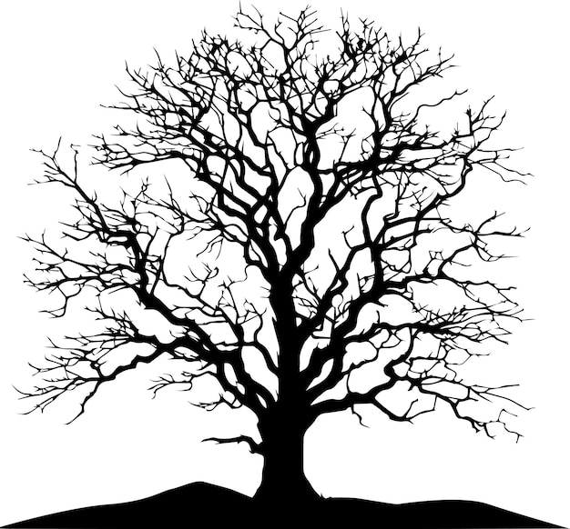 Naakte boom vector silhouet zwarte kleur 6
