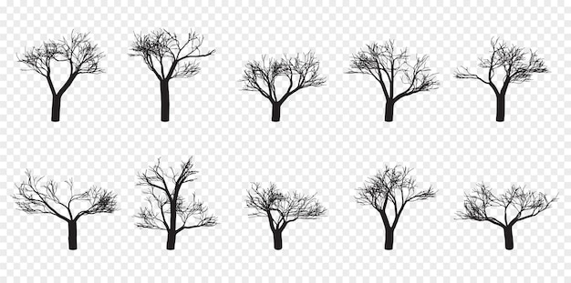 Naked Trees Silhouettes Set Hand Drawn Isolated Autumn Spring Fall Vector