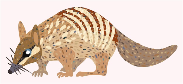 Vettore illustrazione isolata del nambat australian marsupial anteater vector