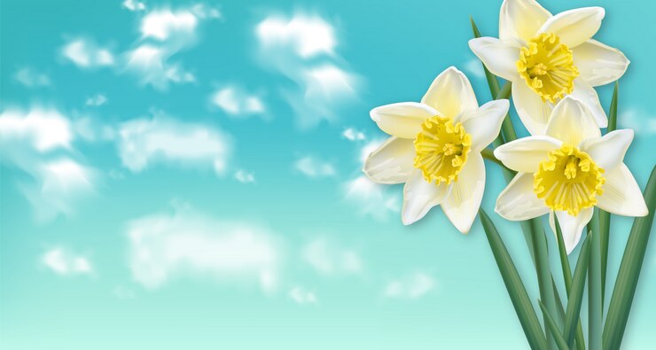 Vector narcis van de de lentekaart bloeit boeket