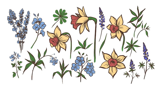 Narcissen bloemdessin Set van planten en bloesem Schets illustratie Print ontwerp voor stof behang verpakking