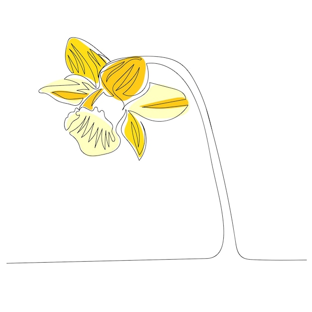 Narcissus een lijntekening Doorlopende lijn bloem Handgetekende minimalistische illustratie Vector