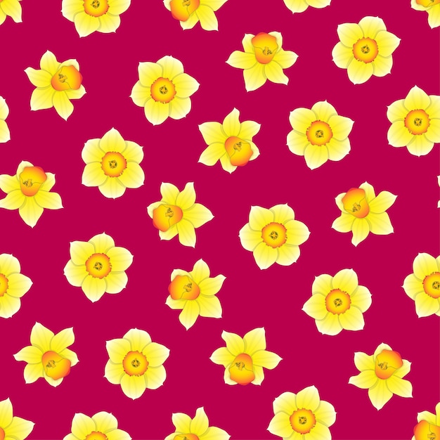 Narcissus Flower on Pink Background