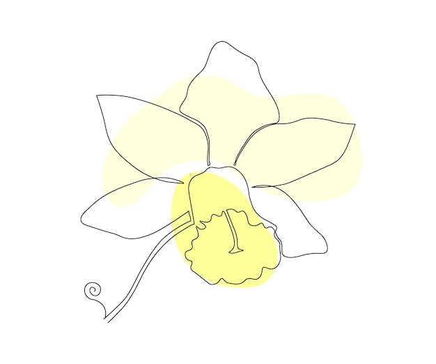 The narcissus flower single line a monoline Cosmetics symbol beauty salon logo