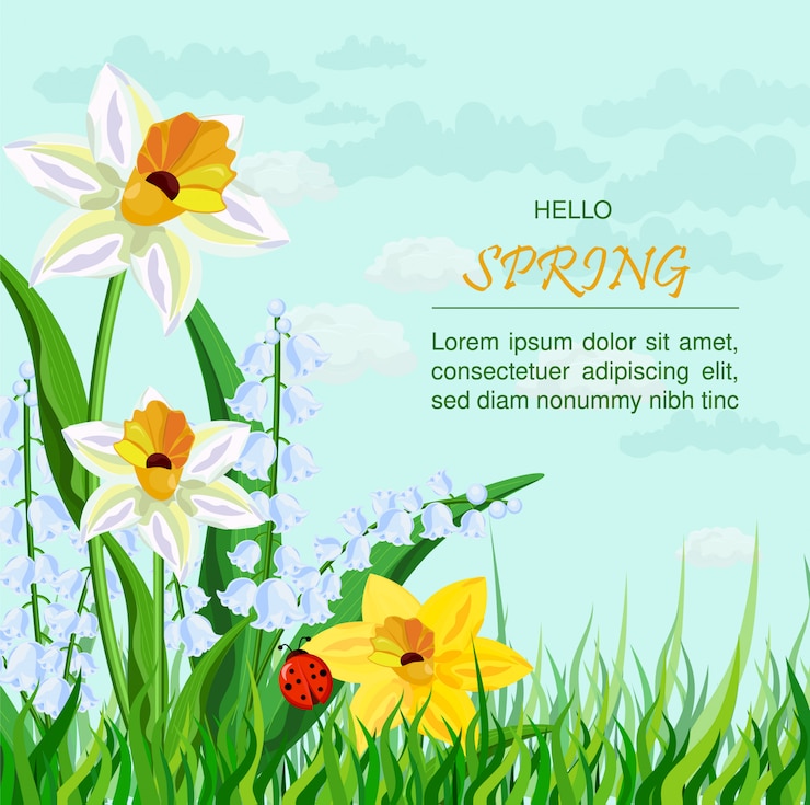 Vector narcissus flowers background