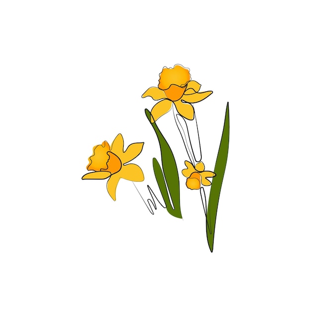 Vector narcissus flowers daffodil line art symbol of spring easter hand drawn vector illustration