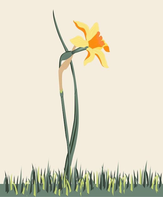 Narcissus lente 2024 vectortekst van een lentebloem geïsoleerd object op witte achtergrond postwagen