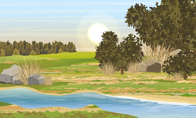 Vector narrow shallow river and meadow with green and yellow grass stones bushes and trees and forest