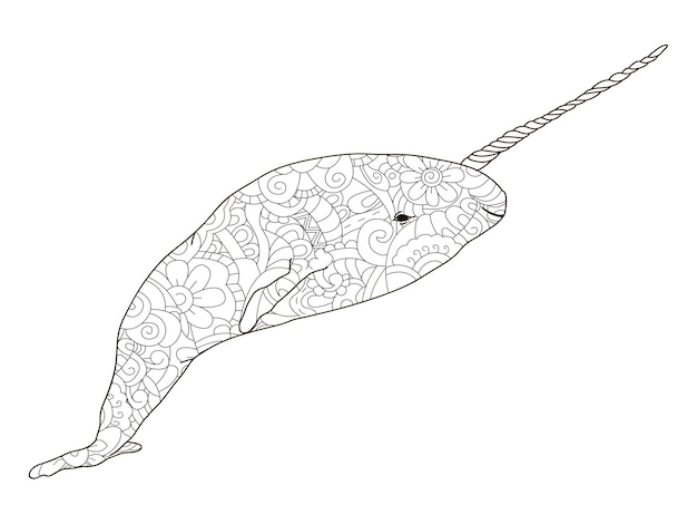 Narwhal coloring antistress drawings black lines and white background nature flowers vector
