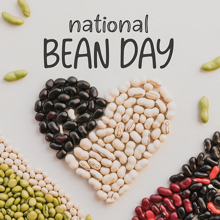 Vector national bean day creative designs highlighting nutritious beans