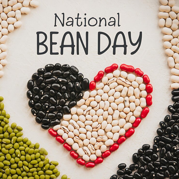 Vector national bean day creative designs highlighting nutritious beans
