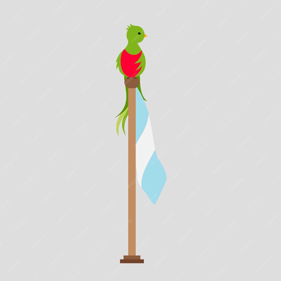 Premium Vector | National bird of guatemala the quetzal on guatemalan flag