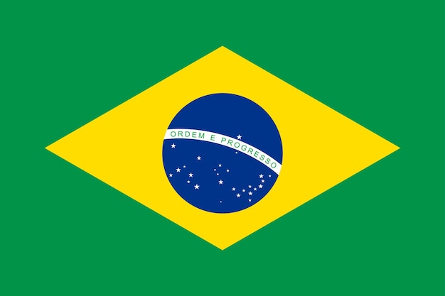 National Brazil flag vector illustration