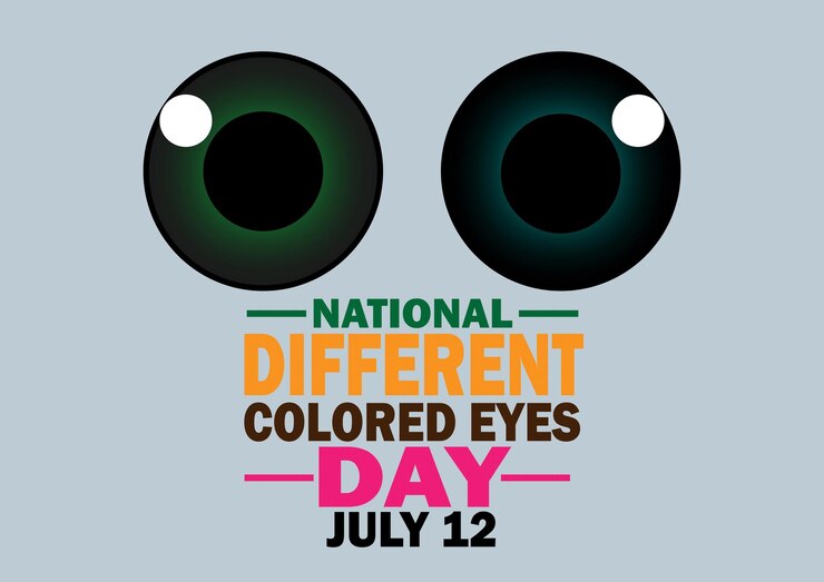 Vector national different colored eyes day vector illustration