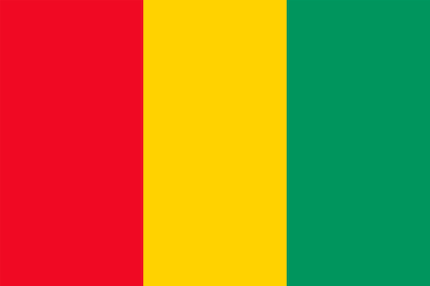 Vector national flag of guinea vector illustration