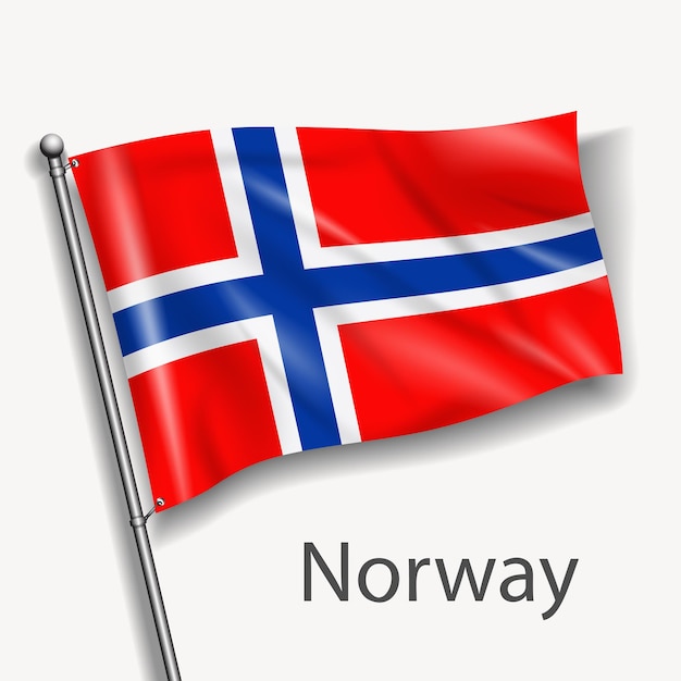 Vector the national flag of norway in europe