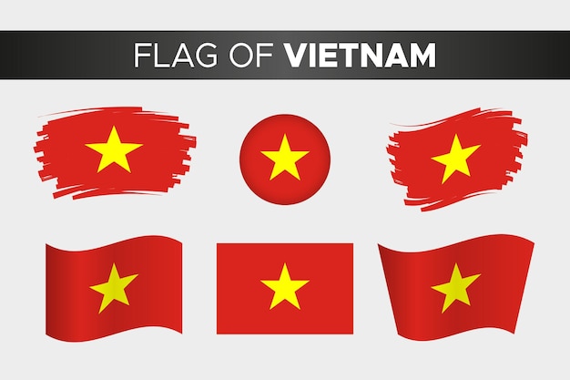 National flag of vietnam in brush stroke wavy circle button style and flat design