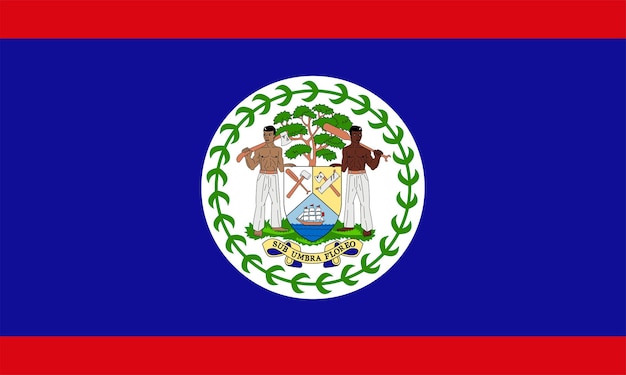 Vector the national flag of the world belize