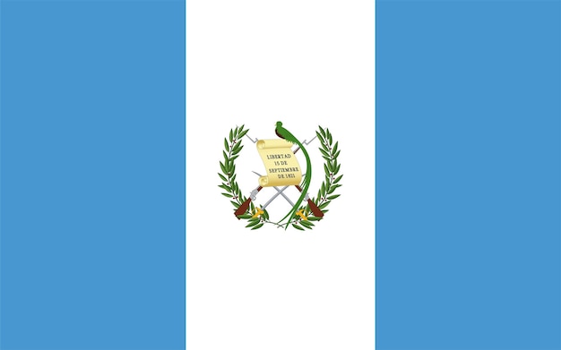 Vector the national flag of the world guatemala