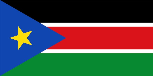 The national flag of the world the south sudan