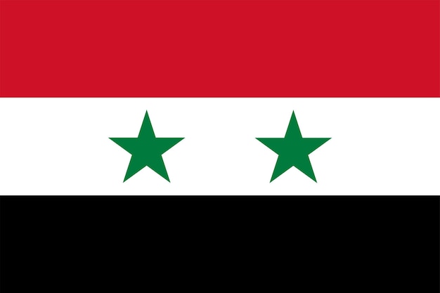 The national flag of the world Syria