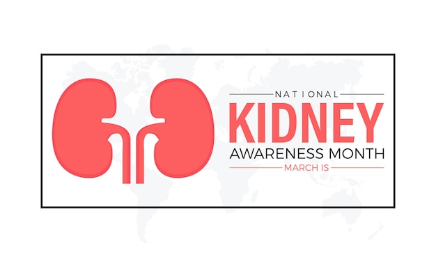 Vector national kidney month observed every year of march medical awareness vector banner flyer poster and social medial template design