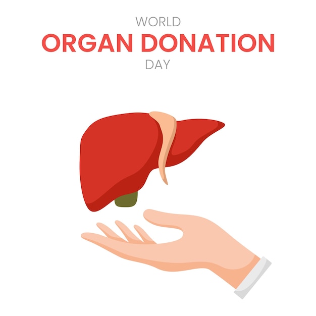 National organ donor day with liver