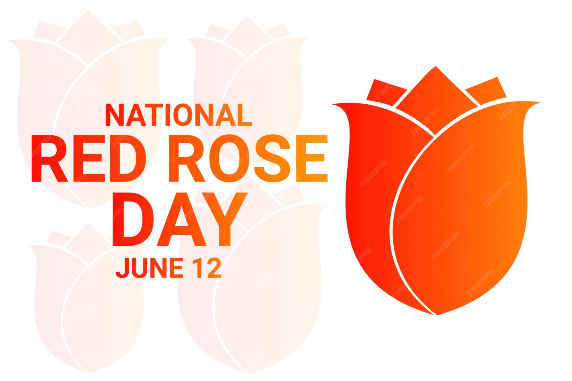 Premium Vector National red rose day