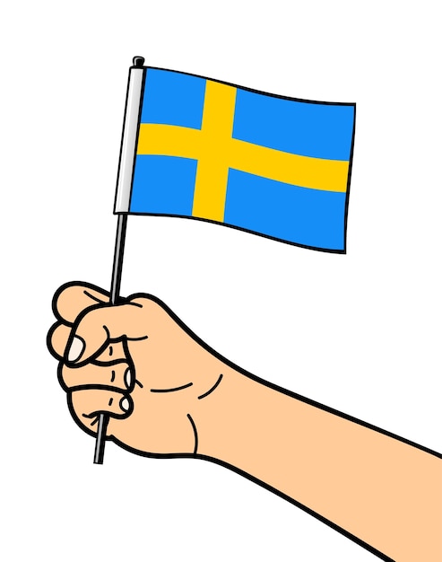 The national symbol of the flag of sweden isolated on a white background national flag in hand