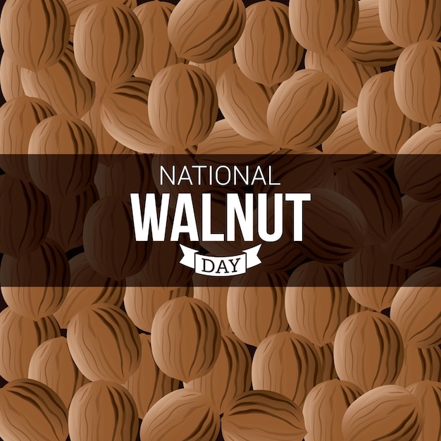 Vector national walnut day