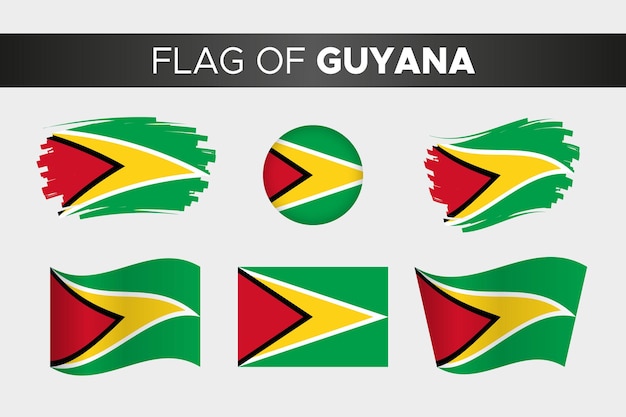 Nationale vlag van Guyana in penseelstreek golvende cirkel knopstijl en plat ontwerp