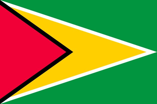Nationale vlag van Guyana vector illustratie