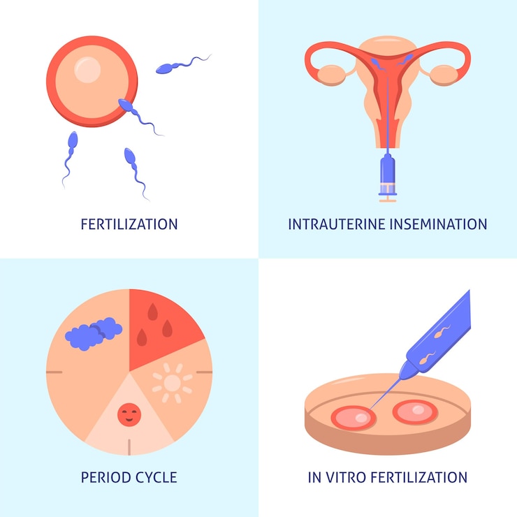 Vector natural and artificial fertilization icon set