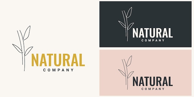 Natural bamboo logo illustration template design