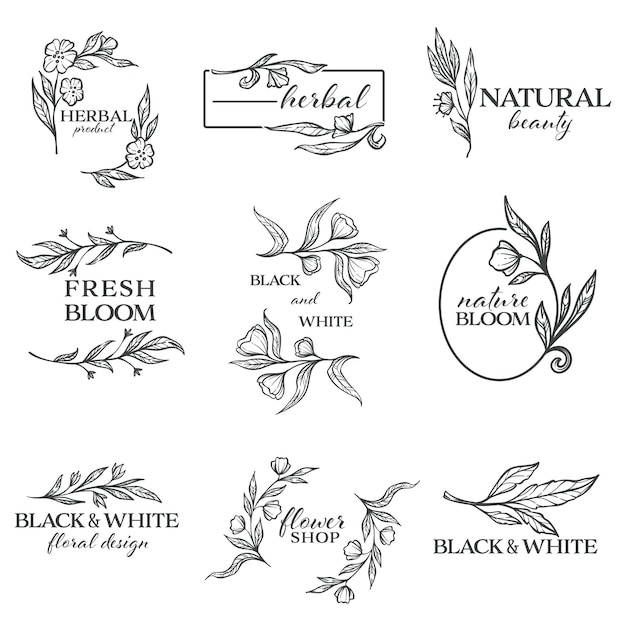 Vector natural beauty and herbal product, black and white floral design, isolated minimalist banners. ornaments with flowers and frames, blossom and monochrome decorative foliage, vector in flat style