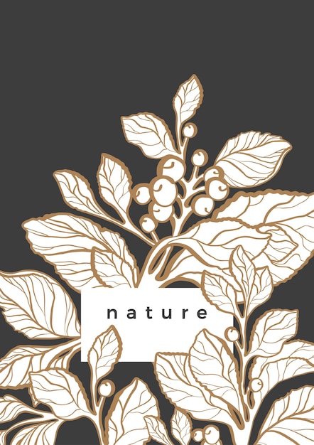 Natural bio plant floral card of tea mate branch leaf herbal drink vintage illustration