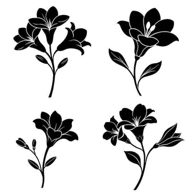 Vector natural floral and plant illustrations