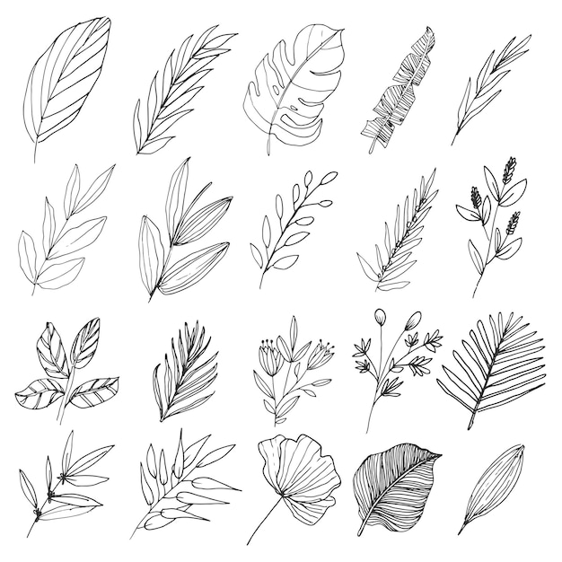 Vector natural floralr wild forest collection