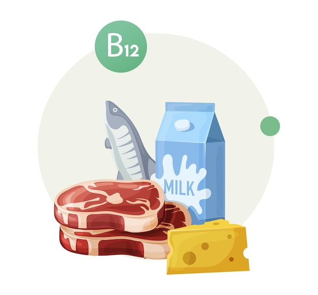 健康的な食事のためのビタミン b12 の自然食品源