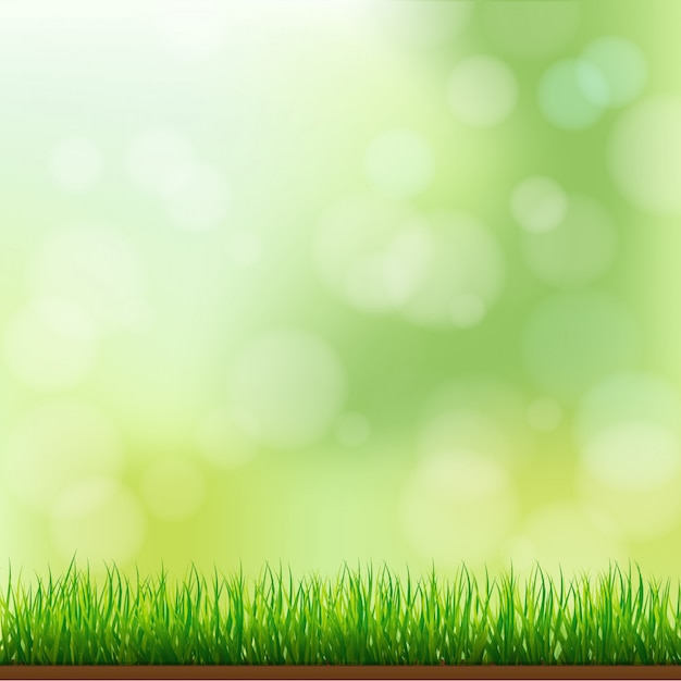 Natural Green Grass Background with Focus and Bokeh