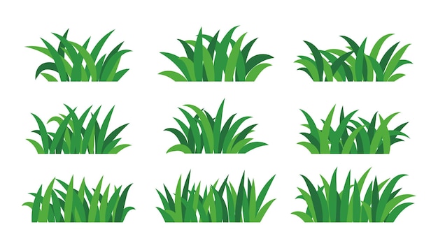 Vector natural green grass bushes decorate environmental ecology cartoon scene